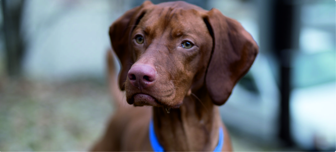 Ajándék gravírozás 